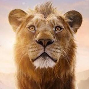 ElBer_tin's profile picture. Ser feliz es mi color de identidad…