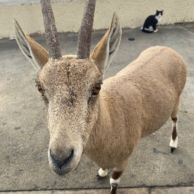 eliz8x2's profile picture. 