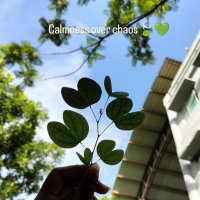 Song Lyrics (@songsyouadore) 's Twitter Profile Photo