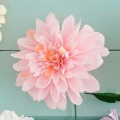 女 風の話をする友達もいないのでつぶやいてます l 予約は別アカ l ユーザーさんとつながりたい、でも被りは知りたくないです l 無言フォロー失礼します