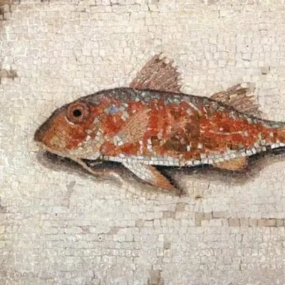 rocketgoldstar1 Profile Picture