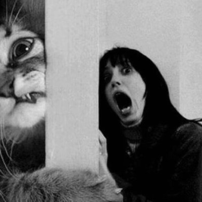 thedkjasper's profile picture. Anarchists，Any government is evil and needs transparent supervision!𝕏Ð