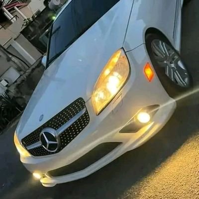 KingDan59174699's profile picture. One love 💕