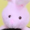 햄さんのプロフィール画像