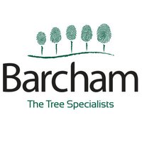 Barcham Trees(@Barchamtrees) 's Twitter Profile Photo