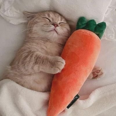 yoongerine919's profile picture. 