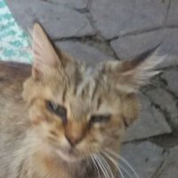 Neyunse (@neyunse) 's Twitter Profile Photo Neyunse (@neyunse) 's Twitter Profile Photo