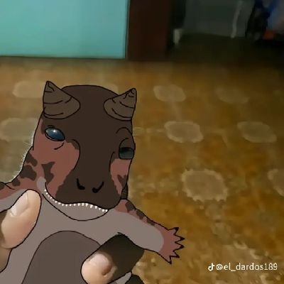 Jgr4_X's profile picture. 