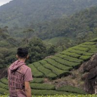 mayank sen (@r_mayank_sen) 's Twitter Profile