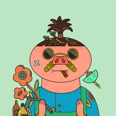 0xGimmy's profile picture. 