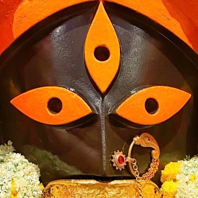 Sri Banibrata Halder, Shebait & Paladar of Kalighat Temple || শ্রী বাণীব্রত হালদার, সেবায়েত ও পালাদার, কালীঘাট মন্দির || Mob - 9123360269 / 7998880326