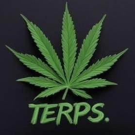 Micky Terp Profile