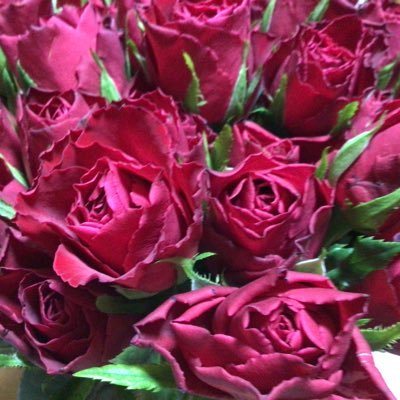 ERG0OrCO4awI8Az's profile picture. ❤ キティちゃん大好き💕ビール最高🍺