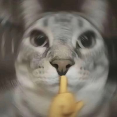 jueseyyds's profile picture. 