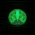 sapiencephalon (@sapiencephalon) Twitter profile photo sapiencephalon (@sapiencephalon) Twitter profile photo