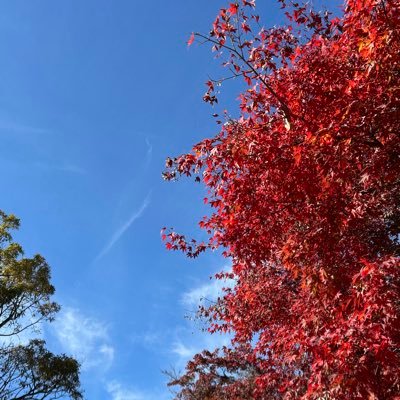 june_teck's profile picture. 