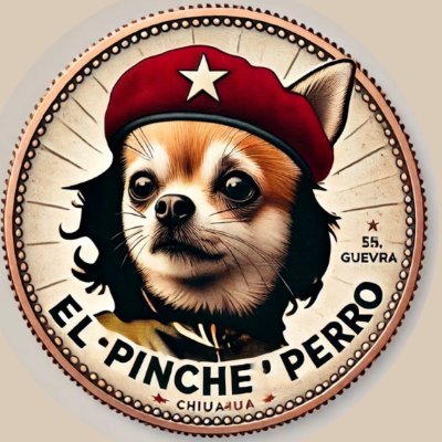 therealpinche's profile picture. Decentralized, community-powered, and ready to disrupt the status quo. 💥
No centralization, just freedom! 🚀💰
Join the movement. #PINCHECOIN #CryptoRevolution