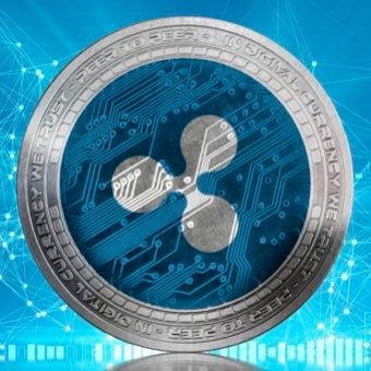 paswort's profile picture. Exclusive collection of POMEGRANATE NFTs https://t.co/uQL5EYNIth