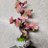 VAWS_momoyuki48