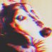 アルバ (@saikokazesama) Twitter profile photo アルバ (@saikokazesama) Twitter profile photo