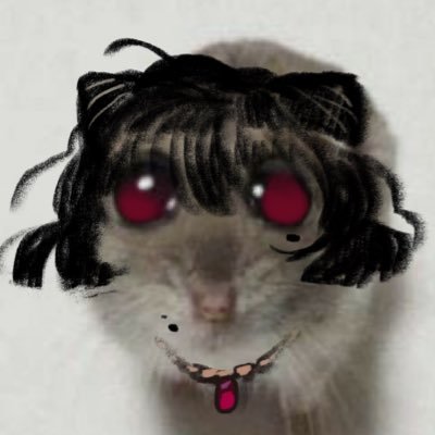 konさんのプロフィール画像