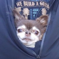 π¦π’ππππ(ππ) (@ymk_rb) 's Twitter Profile
