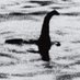 Lake Monster Believer (@vancaptain88) Twitter profile photo Lake Monster Believer (@vancaptain88) Twitter profile photo