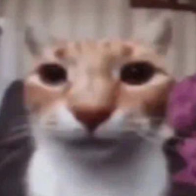 louis_zlw's profile picture.