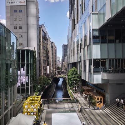 harumix611's profile picture. 