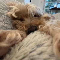 Rajy (@rajy_in) 's Twitter Profile