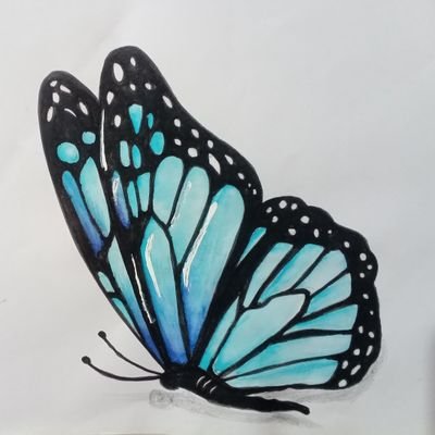 Rani20Nida's profile picture. 