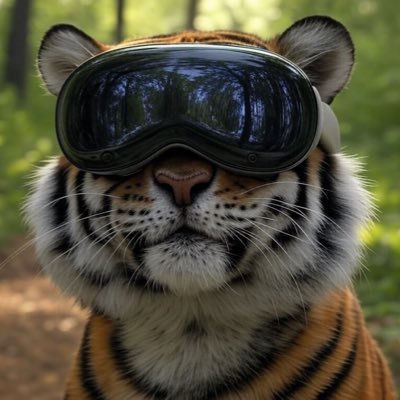 Mobile dev 📱 | Board @BitcoinerDAO ⛏️ | Builder @PaoKaDAO 🛠️ Jupiter Catdets 🐈 · #STEPN Genesis