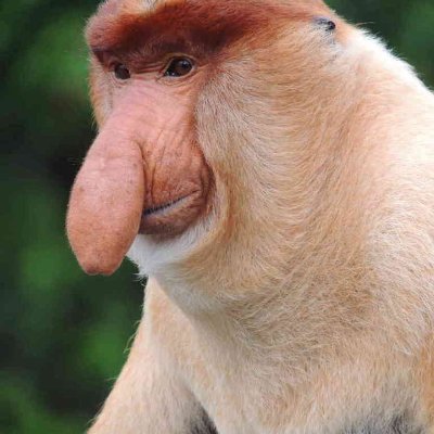 Quand je parle avec quelqu'un de gauche, j'ai bien envie d'être de droite, mais quand je cause avec quelqu'un de droite, je suis bien content d'être de gauche.