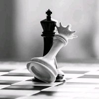 Monira Mohammad (@moniramoha25787) 's Twitter Profile