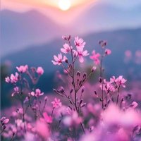 🇹🇷BAHAR🇹🇷 (@loraskot) 's Twitter Profile Photo 🇹🇷BAHAR🇹🇷 (@loraskot) 's Twitter Profile Photo