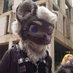 Lukan the Snep (@lukansnep) Twitter profile photo Lukan the Snep (@lukansnep) Twitter profile photo