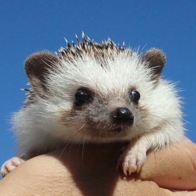 3g3_o's profile picture. 07 男 髙石あかりさんと綾野剛が好きです