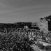 Nicolas - Investissement (@voyageursimple) Twitter profile photo Nicolas - Investissement (@voyageursimple) Twitter profile photo