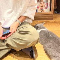 M (@pifo684) 's Twitter Profile