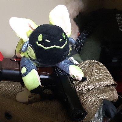 🇨🇦☦
Stim addicted, heavily armed fluffy toaster. Cutesy UwU furshit is my therapy.
