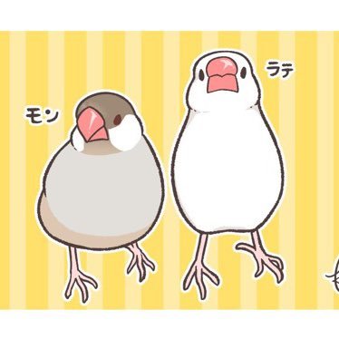 2020GW中にコロナ在宅勤務が長引き、挿餌可能❗️手乗り育てられる❣️と気付いて文鳥お迎えしました。(6年半ぶり) 202206月BLA2級🕊アート、絵本 R&R好き