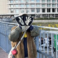 西ぴよ (@haaamu_24) 's Twitter Profile
