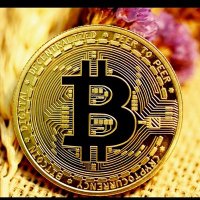 CryptoFarmHub (@cryptofarmhub) 's Twitter Profile