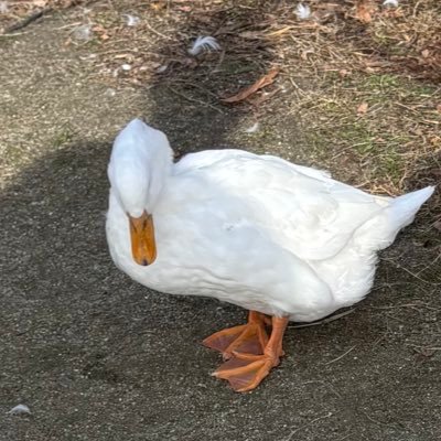 mzmzmz3150's profile picture. 