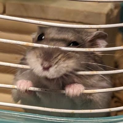 HxKhtoA3lo44267's profile picture. 20↑フォロー垢