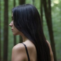 Charlotte de Vries (@bytebird_dw) 's Twitter Profile