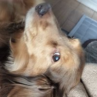 あああ (@c_and_b__) 's Twitter Profile