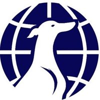 UK Greyhound Sales (@ukgreysales) 's Twitter Profile Photo UK Greyhound Sales (@ukgreysales) 's Twitter Profile Photo