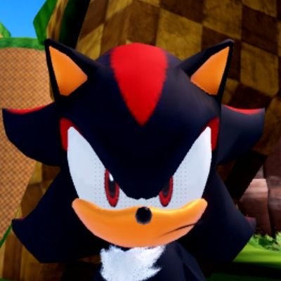 23. I think about my ocs a lot. multishipper. come, my Shadow the Hedgelings