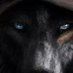 Aldor (@mario_wolfman) Twitter profile photo Aldor (@mario_wolfman) Twitter profile photo